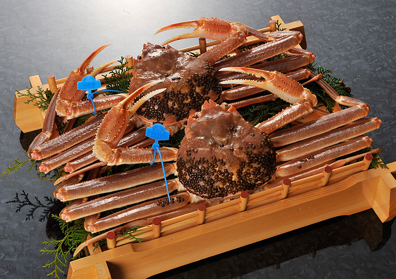 Premium Matsuba crab TsuiyamaCrab