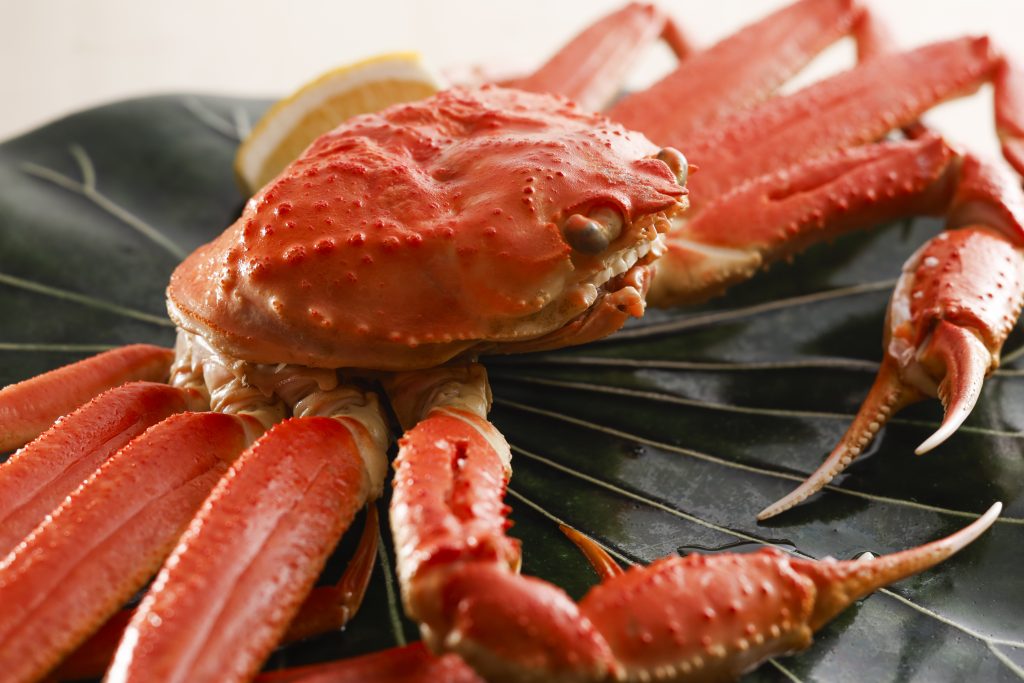 【冬｜早期割60】60日前の早期予約でお得に！冬の奥城崎＜ずわい蟹フル・彩／2食付＞